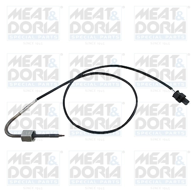 Sensor, exhaust gas temperature